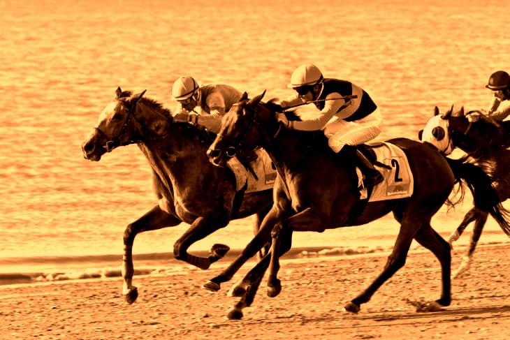 Horse Racing Bets: Decoding Odds and Mastering Race Day Strategies